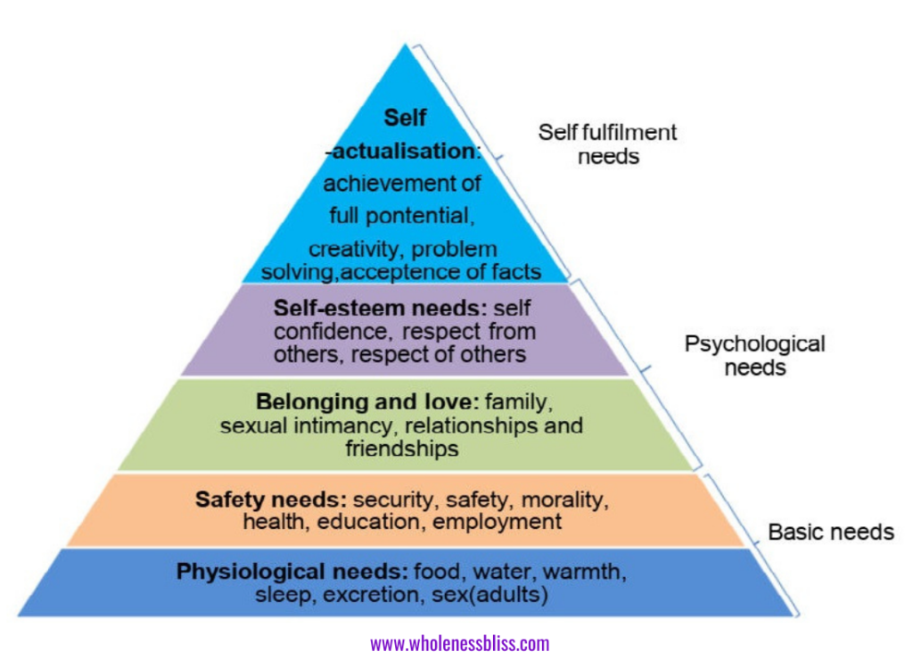 The five basic human needs