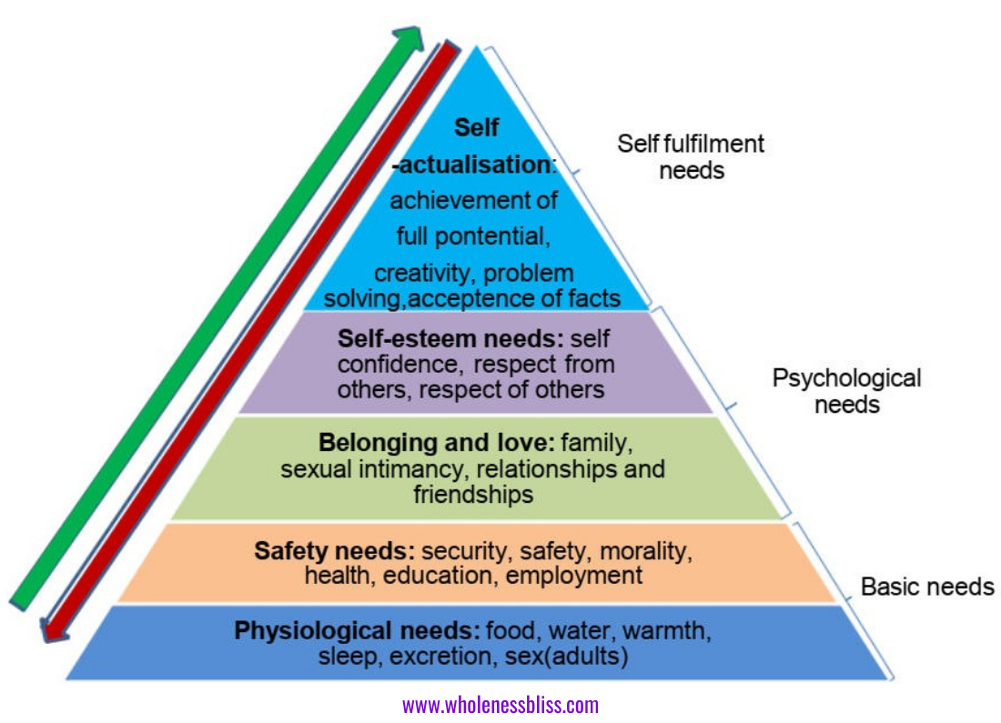 Basic Human needs. Maslow Hierarchy of needs Basicneeds. Basic needs for Human. Physiological needs. Basic human